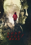 Lost Gully Road poster image