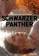 Schwarzer Panther poster image