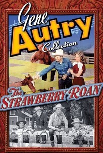 Watch trailer for The Strawberry Roan