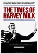 The Times of Harvey Milk poster image