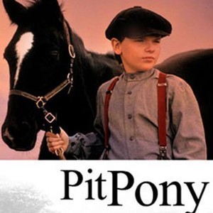 Pit Pony photo 2