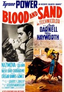 Blood and Sand poster image