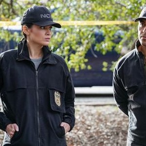 NCIS: Season 20, Episode 20 - Rotten Tomatoes