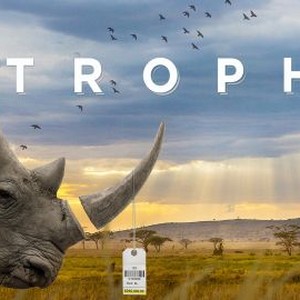 "Trophy photo 16"