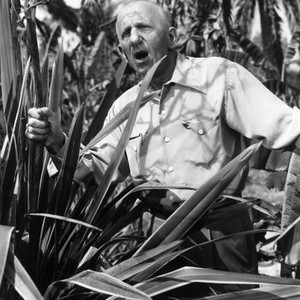 ON AN ISLAND WITH YOU, Jimmy Durante, 1948