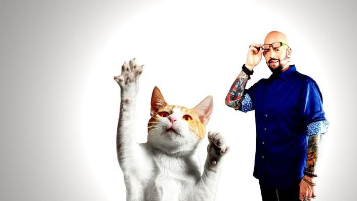 My cat from hell 2025 season 9 episode 8
