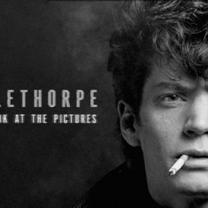 Mapplethorpe: Look at the Pictures photo 8