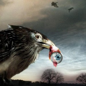 Flu Bird Horror - Rotten Tomatoes