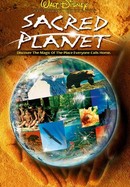 Sacred Planet poster image