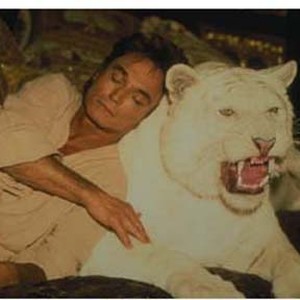 Roy dozes with a prized white tiger in "Siegfried & Roy: The Magic Box", an L-Squared Entertainment Production and an IMAX r 3D Experience. photo 10