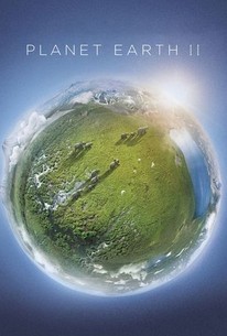 Planet Earth II - Rotten Tomatoes