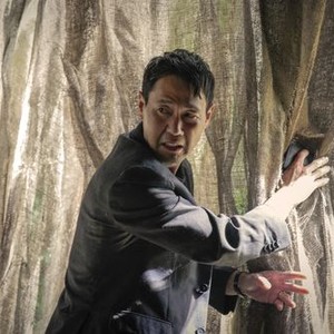 Rabbit Hole Rotten Tomatoes