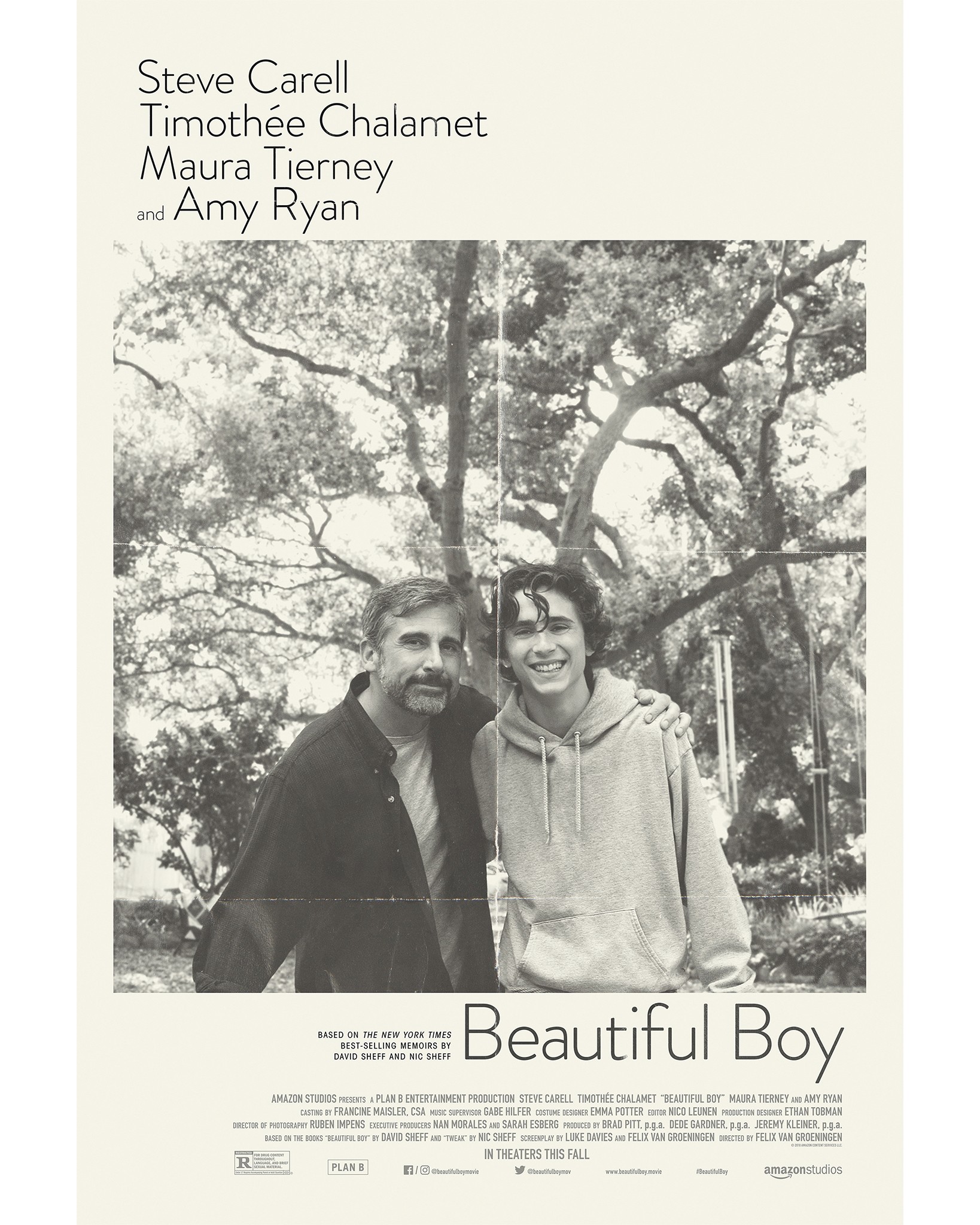 Beautiful Boy 18 Rotten Tomatoes