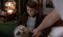 Pet Sematary II: Official Clip - Zowie Returns photo 3
