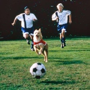 Soccer Dog: The Movie (1999) photo 5