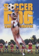Soccer Dog: The Movie poster image