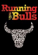 Running With Bulls poster image