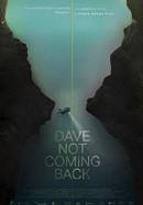 Dave Not Coming Back poster image