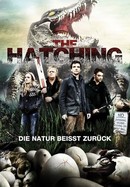 The Hatching poster image
