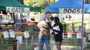 Parks and recreation season 4 stream shop