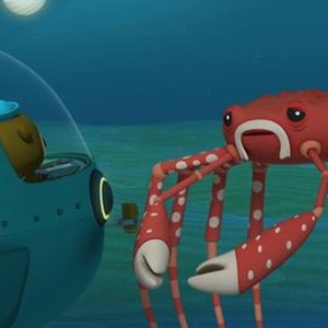 Octonauts: Season 1, Episode 50 - Rotten Tomatoes