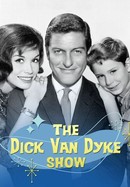 The Dick Van Dyke Show poster image