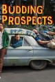 Budding Prospects