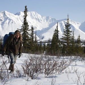 Into The Wild Movie Quotes Rotten Tomatoes