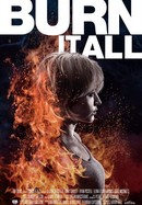Burn It All poster image