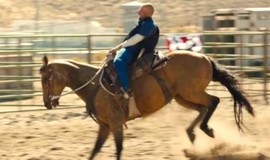 The Mustang: Official Clip - Bucking Bronco