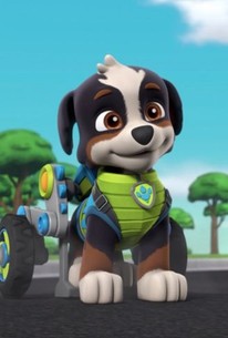 pups and the lost dino eggs