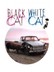 Crna macka, beli macor (Black Cat, White Cat)