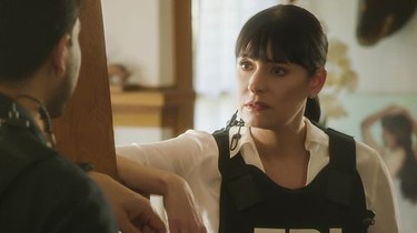 Fmovies criminal minds new arrivals season 13