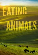 Eating Animals poster image