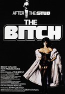 The Bitch poster image