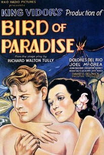 Bird of Paradise poster