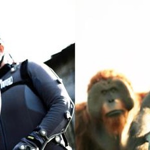 WAR FOR THE PLANET OF THE APES, FROM LEFT, KARIN KONOVAL AS MAURICE, TERRY NOTARY AS ROCKET, ANDY SERKIS AS CAESAR, MICHAEL ADAMTHWAITE AS LUCA, 2017. TM AND COPYRIGHT ©20TH CENTURY FOX FILM CORP. ALL RIGHTS RESERVED