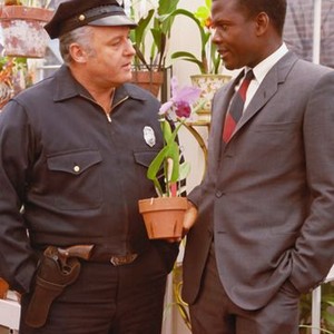 In the Heat of the Night - Rotten Tomatoes