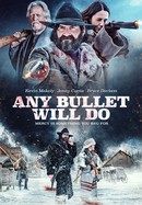 Any Bullet Will Do poster image