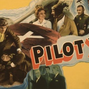 Pilot X photo 1