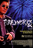 Fireworks poster image