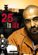 25 to Life poster image