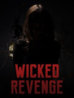 Revenge s01e01 shop
