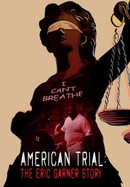American Trial: The Eric Garner Story poster image