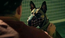 Dog: Movie Clip - Briggs and Lulu Reunite