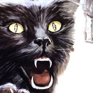 The Night of a Thousand Cats photo 9