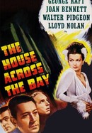 The House Across the Bay poster image