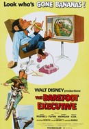 The Barefoot Executive poster image