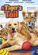 A Tiger's Tail poster image