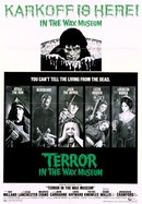 Terror in the Wax Museum poster image